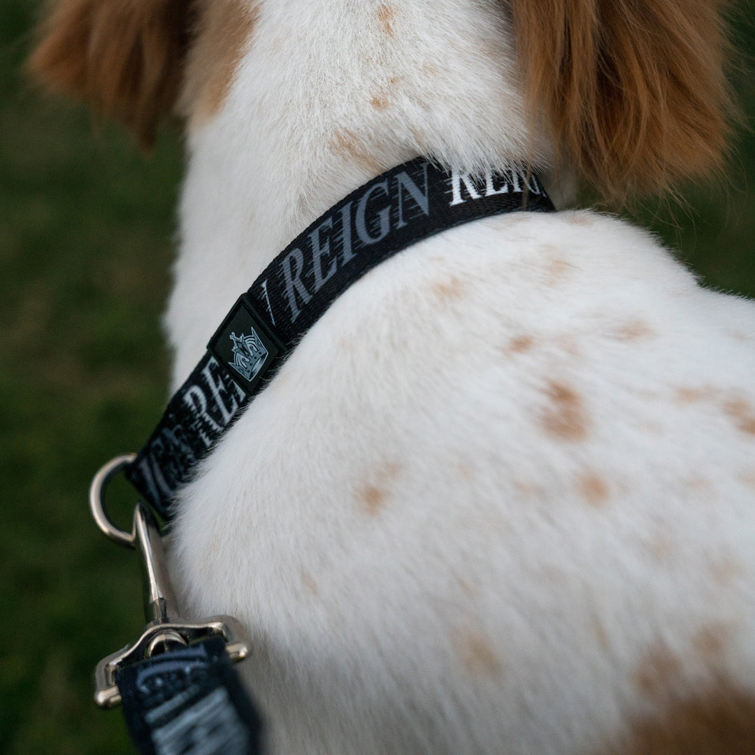 Reign Dog Collar