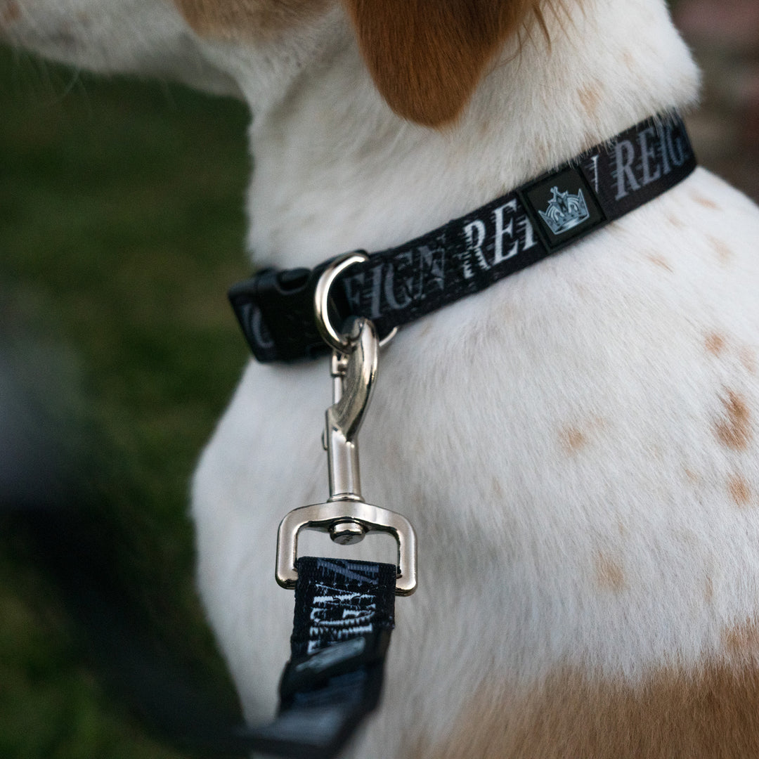 Reign Dog Collar