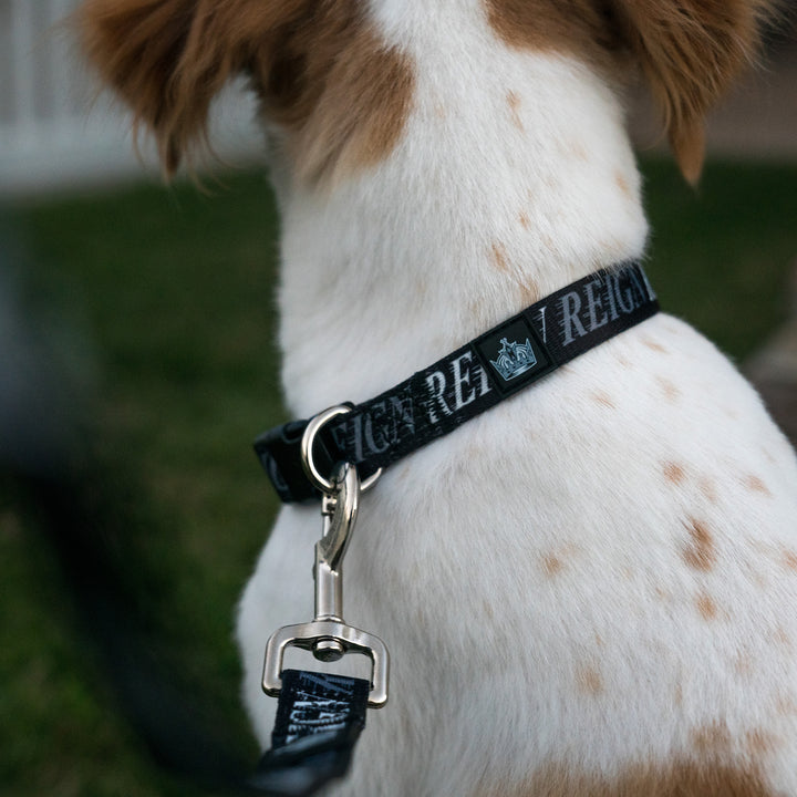 Reign Dog Collar