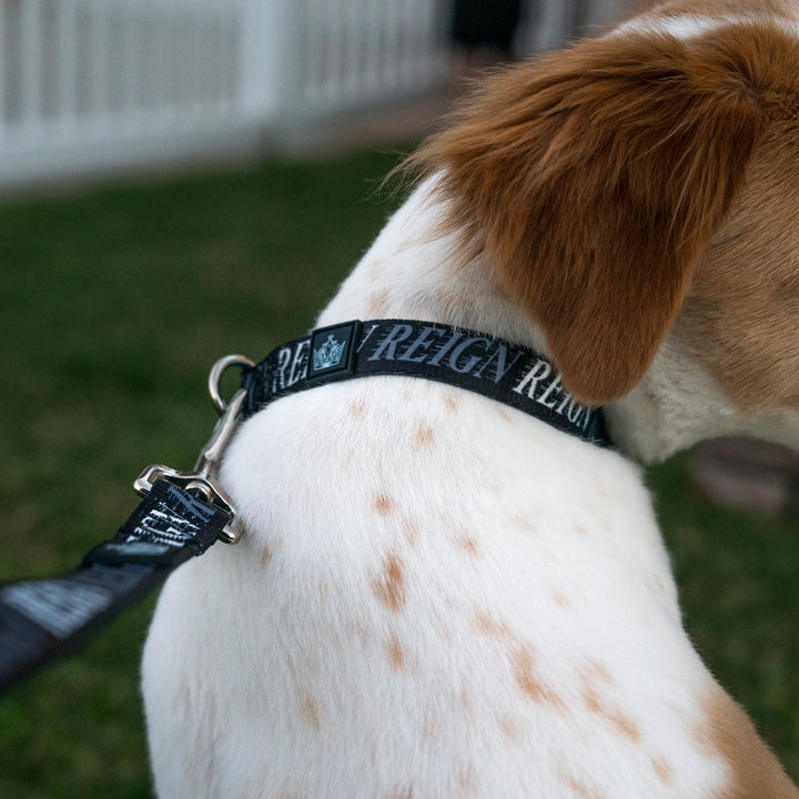 Reign Dog Collar