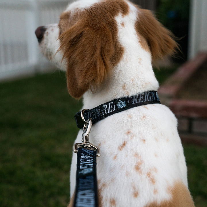 Reign Dog Collar