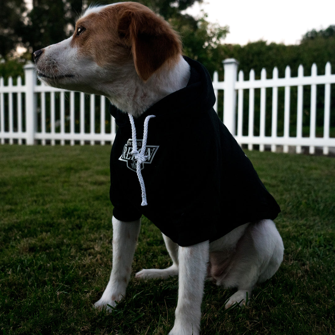 Primary Dog Pullover Hood