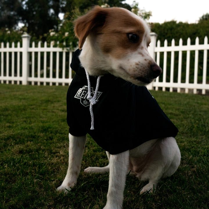 Primary Dog Pullover Hood